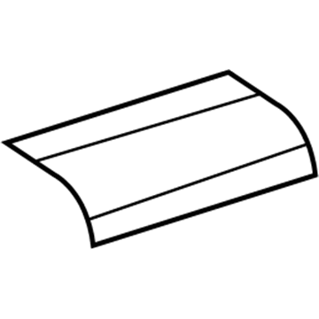 Dodge 1GJ31BDAAA DOOR Storage Bin