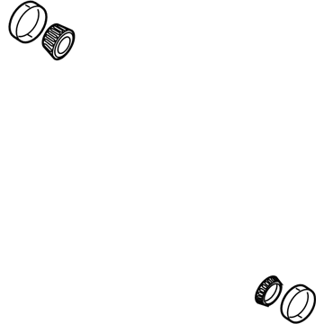 Ram 68340251AA BEARING KIT Differential Side
