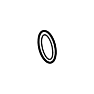 Jeep 68152002AA Liquid Line O-Ring