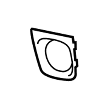 Mopar 5113668AB Bezel, Front