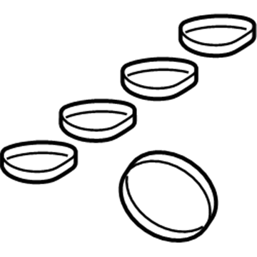 Mopar 68232121AA Manifold Gasket