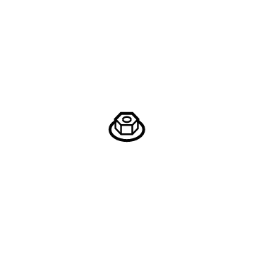 Ram 6503029 Shock Nut
