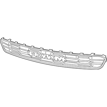 Mopar 6VU37LXHAA Grille, Front