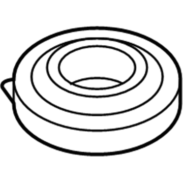 Dodge 4895382AA Lower Insulator