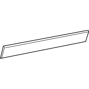 Ram 1ZT46JXWAB Body Side Molding