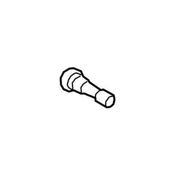 Mopar 68125369AA Stem Wheel Valve