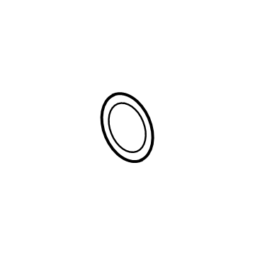 Jeep 68144351AA Master Cylinder Assy O-Ring