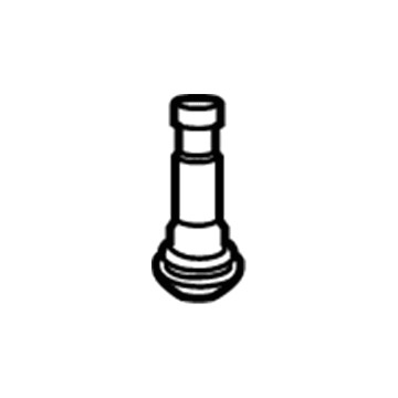 Ram 2073355 Valve Stem