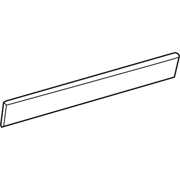 Ram 1ZT46JXWAB Body Side Molding