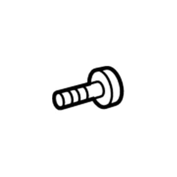 Mopar 68170380AA Window Motor Screw