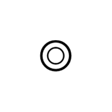 Ram 53020861 O-Ring
