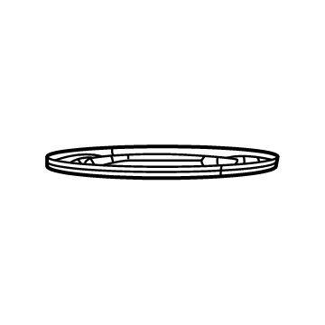 Jeep 52030369AA Fuel Pump Assembly Lock Ring