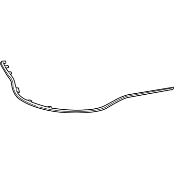 Mopar 68202984AB Molding, Front