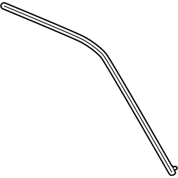 2023 Chrysler 300 Door Moldings - 57010365AM