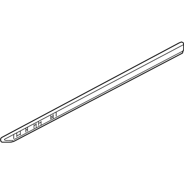 Ram 6QE28SZ0AC Body Side Molding