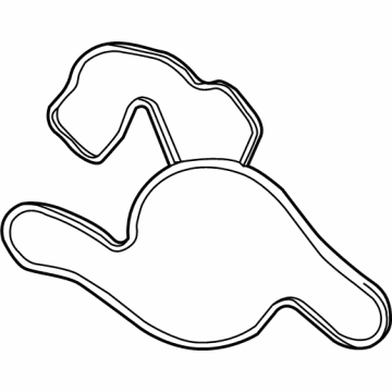 Ram 68165890AA Water Pump Gasket