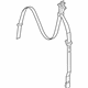 Mopar ZV721DVAB Outer Belt, Rear Passenger Side