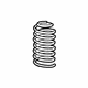 Mopar 68341323AB Coil Spring, Front