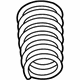 Mopar 68507403AA Coil Spring, Front