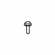 Mopar 68364321AA Front Camera Screw, Rear