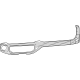 Mopar 7FS84TX7AC Center Molding