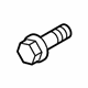 Mopar 68345950AA Water Pump Bolt