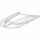 Mopar 68529909AA Hood, Front