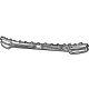 Mopar 68548774AA Center Grille, Front