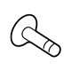 Mopar 68073865AA Rocker Molding Screw