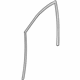Mopar 68188784AE Run Channel, Front Passenger Side