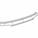 Mopar 68569633AA Applique Panel