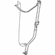 Mopar TS591D1AI Outer Belt, Front Driver Side