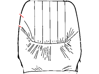Dodge ZX721D5AA COVER Front Seat Back