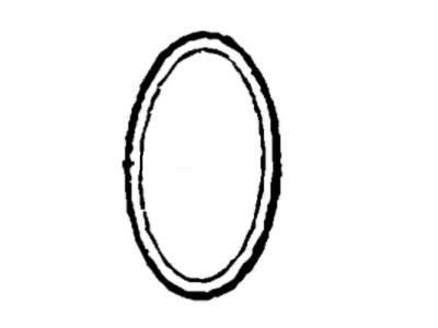 Jeep Water Pump Gasket - 68319837AA