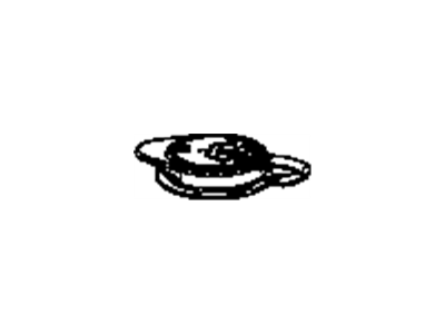 Mopar 68171077AA Reservoir Cap, Front