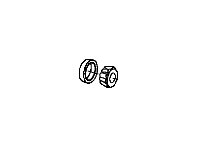 Ram 68158421AA BEARING KIT Differential Side