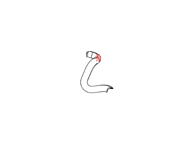 Jeep 68249195AA HOSE Radiator Outlet