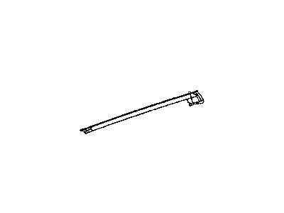 Dodge Caravan Door Seal - 4894576AA