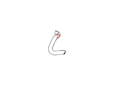 Jeep Radiator Hose - 68087600AC