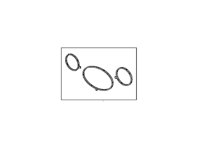 Ram 68147596AA SEAL KIT Water Pump