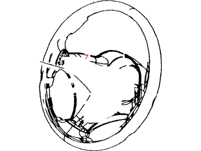 Dodge Viper Steering Wheel - PB41TR1