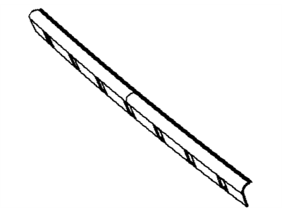 Mopar 1DL48SZ0AA Lower Molding, Front