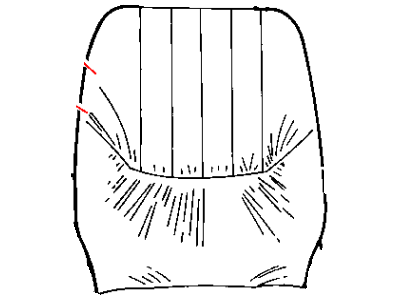 Dodge ZE561L5AA COVER Front Seat Back