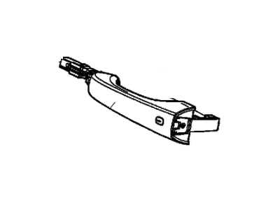 2017 Chrysler 300 Door Handle - 1RH65JRYAD