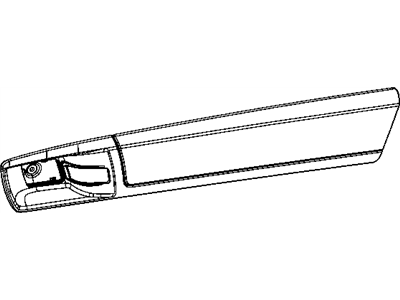 Dodge 68030886AA APPLIQUE Front Door