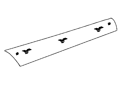 Dodge TR89DX9AD SILL COVER Interior