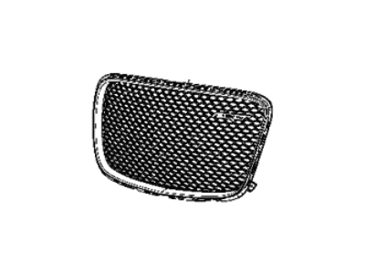 2015 Chrysler 300 Grille - 5SZ42SZ0AC