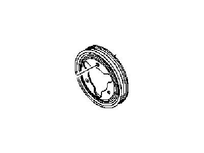 Jeep 53032861AA PULLEY Water Pump