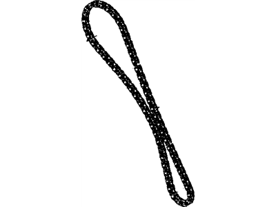Mopar 68147488AA Chain Timing Primary
