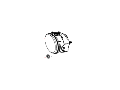 Mopar 68081399AB Fog Lamp, Front